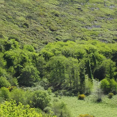Montejunto Rose Bed & Breakfast *